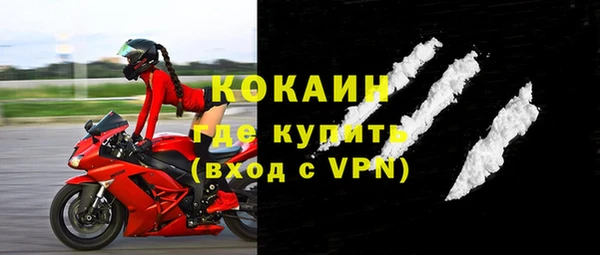 стаф Дмитриев