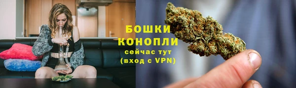 стаф Дмитриев