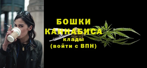 стаф Дмитриев