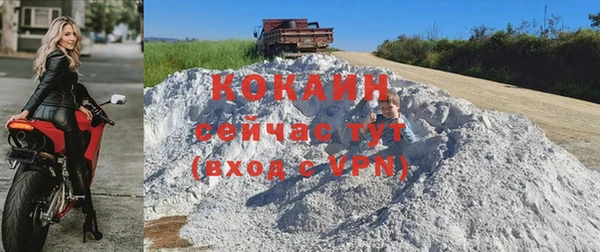 стаф Дмитриев