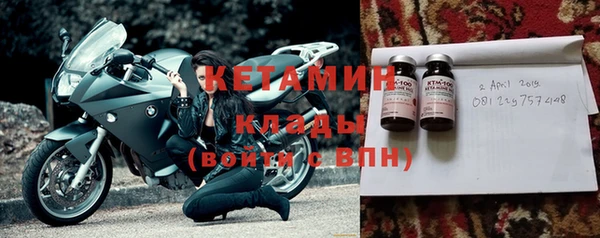 стаф Дмитриев