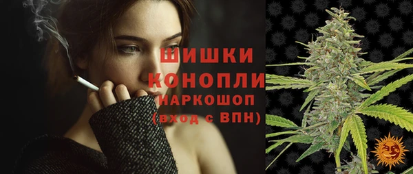 стаф Дмитриев