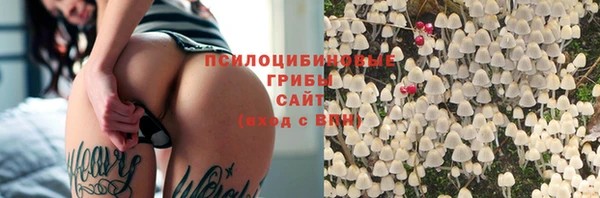 стаф Дмитриев