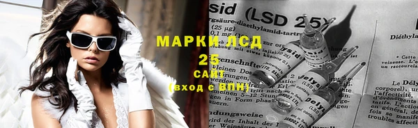 стаф Дмитриев
