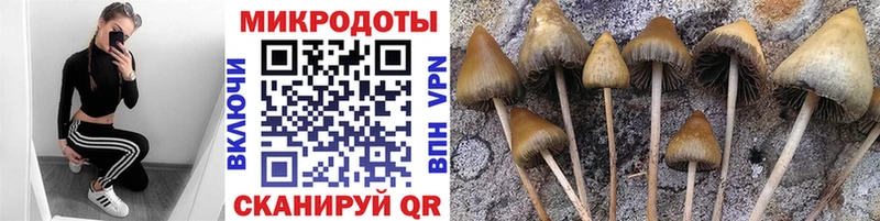 Купить  Нижняя Тура  Псилоцибиновые грибы мухоморы 